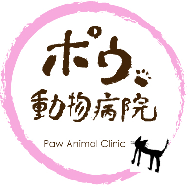 上田市の犬猫の診療を行うポウ動物病院